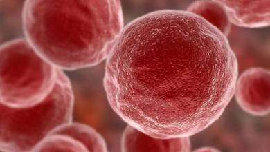 غلبه بر سرطان با یک روش جدید ایمونوتراپی