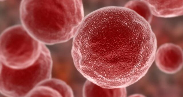 غلبه بر سرطان با یک روش جدید ایمونوتراپی