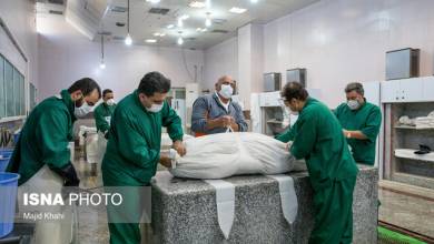 پزشکی چهار خانواده دیگر کهگیلویه و بویراحمدی ناراحت بودند