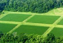 تولید ، پشتیبانی و از بین بردن نقش اساسی در توسعه بخش کشاورزی کردستان است