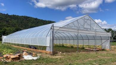 عمومی گلخانه سازی چیست؟