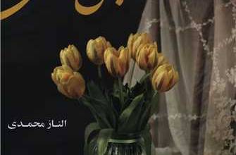 عمومی عمومی