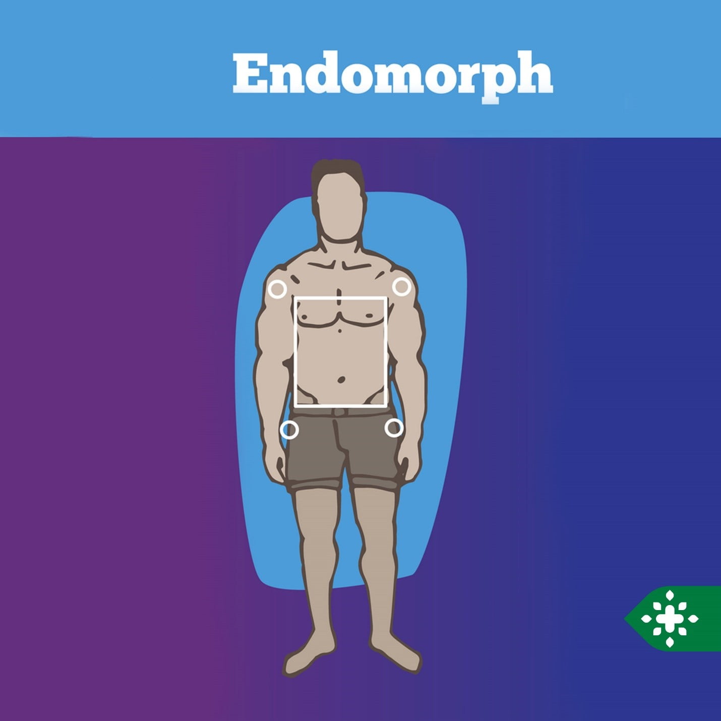 ورزش ويژگي تايپ های بدني، تغذيه و تمرينات مرتبط با آن