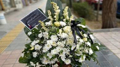 عمومی عمومی