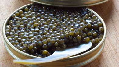 عمومی عمومی