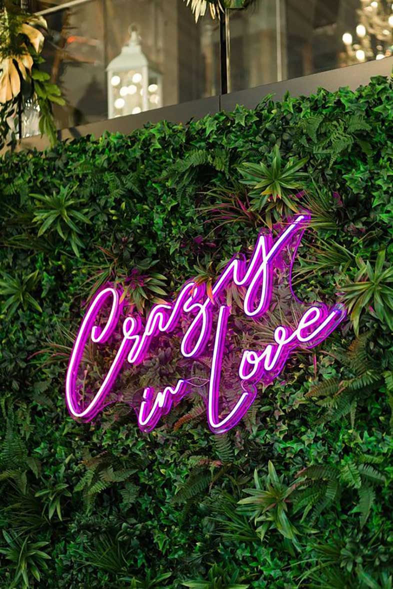 شیراز شیراز