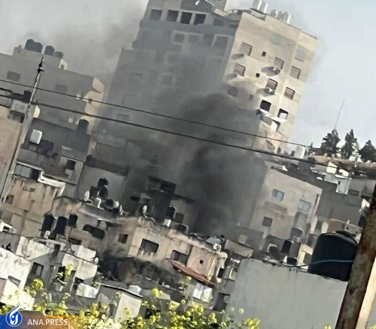 جنین حمله جدید نیروهای رژیم اشغالگر قدس به جنین؛ ۳ شهید و ۵ زخمی