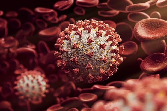 پزشکی ویروسی در خراسان که از نسلی به نسل دیگر منتقل میشود