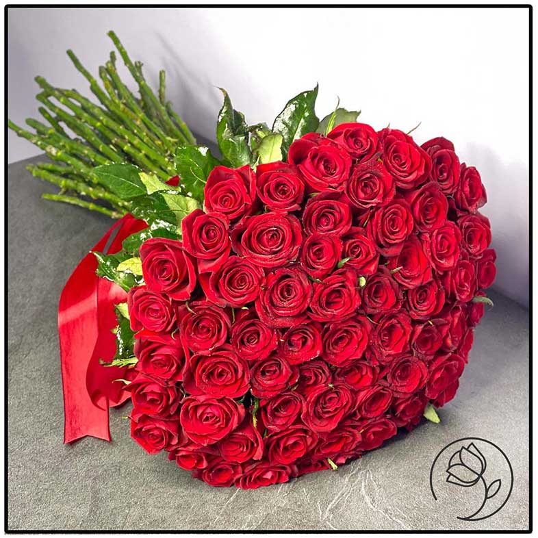 عمومی عمومی