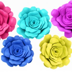 عمومی عمومی