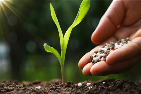 پزشکی پزشکی