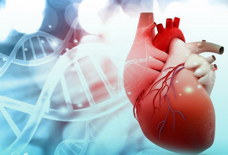 پزشکی دکتر حکمت متخصص قلب و عروق در اصفهان