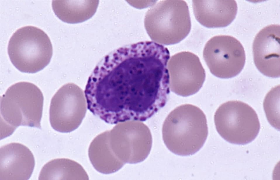 عمومی عمومی