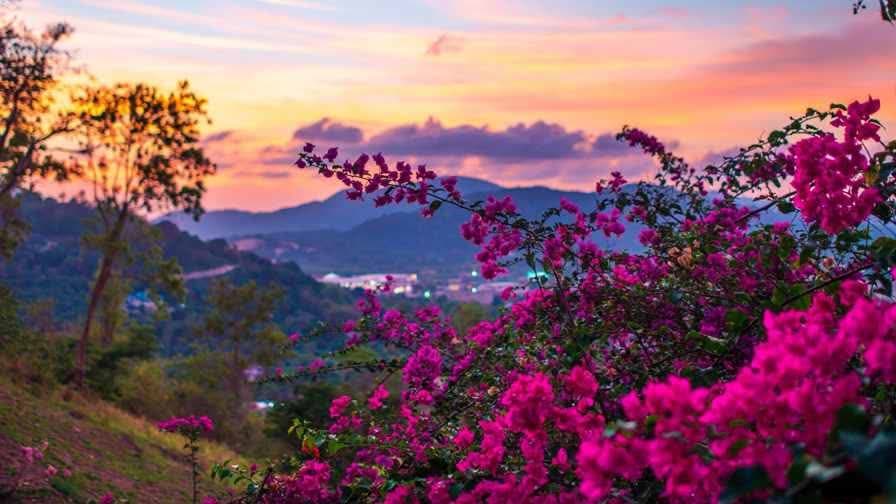 جاهای دیدنی