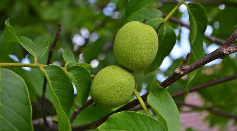 عمومی عمومی