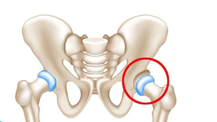 پزشکی پزشکی