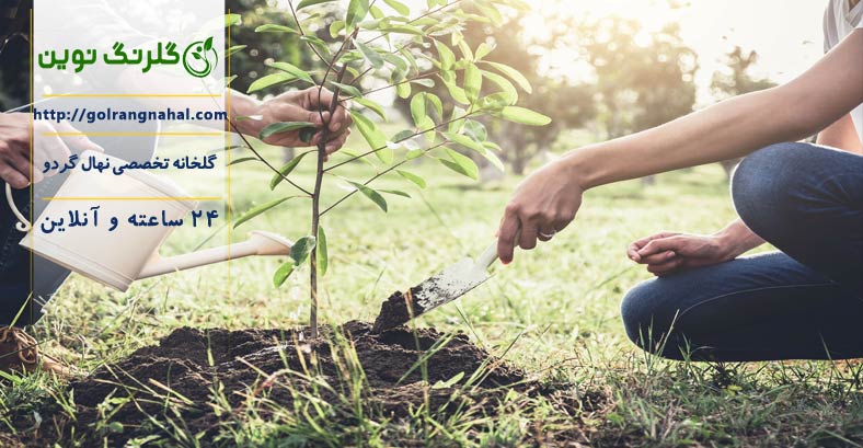 عمومی عمومی