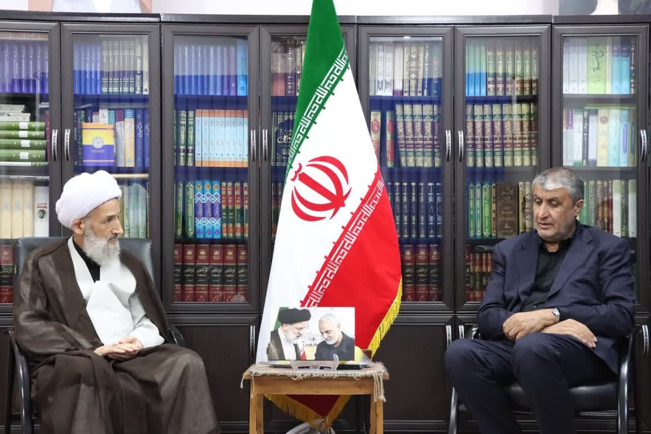 عمومی آیت الله شهید رییسی از ذخایر اخلاقی و ارزشی محسوب می شود - خبرگزاری مهر | اخبار ایران و جهان