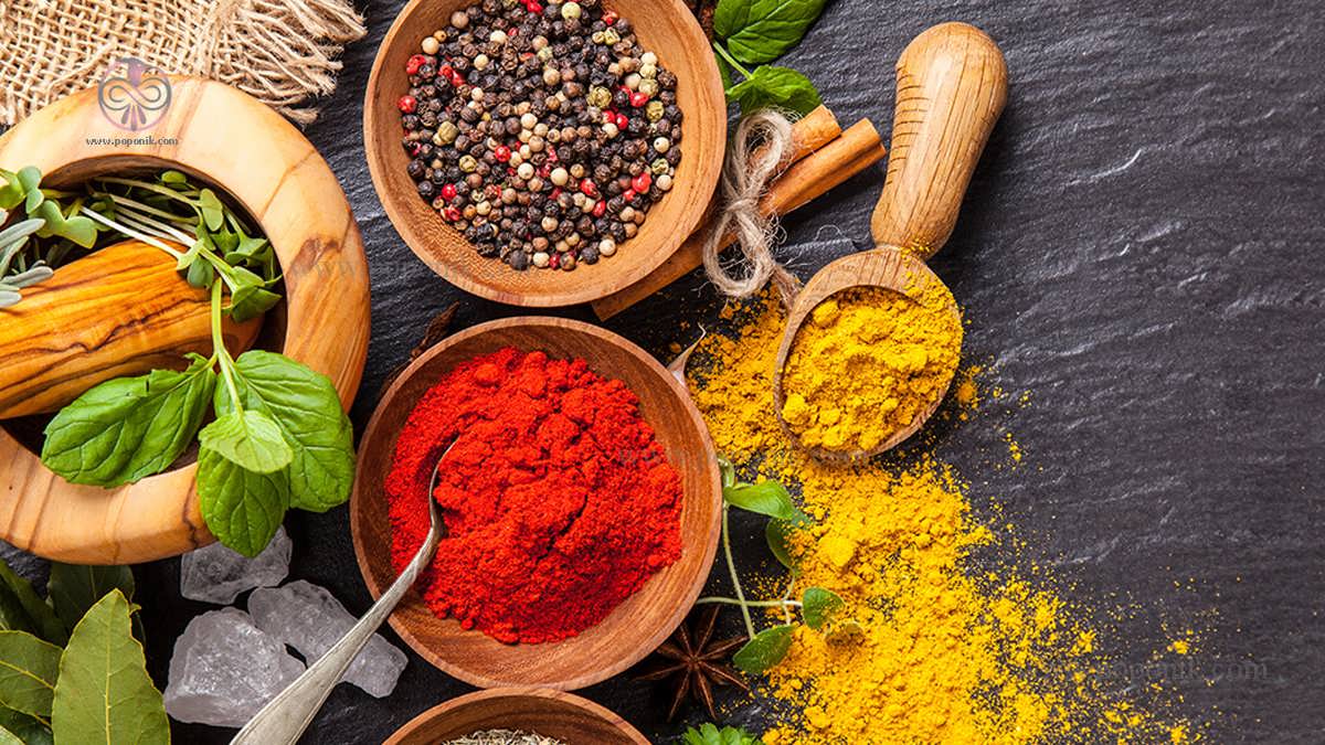 آشپزی | ادویه