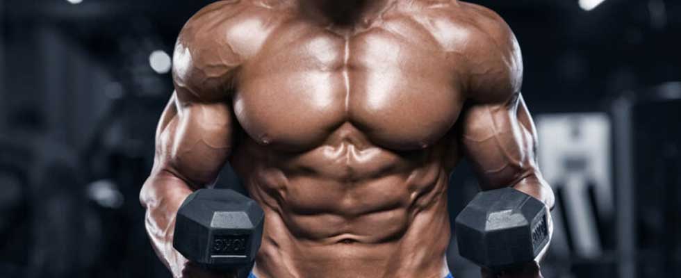 بدنسازی | پروتئین