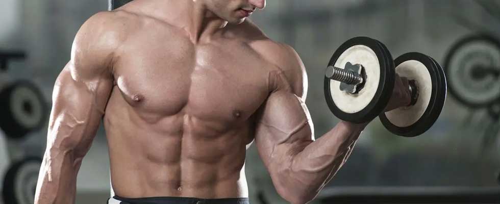 بدنسازی | پروتئین