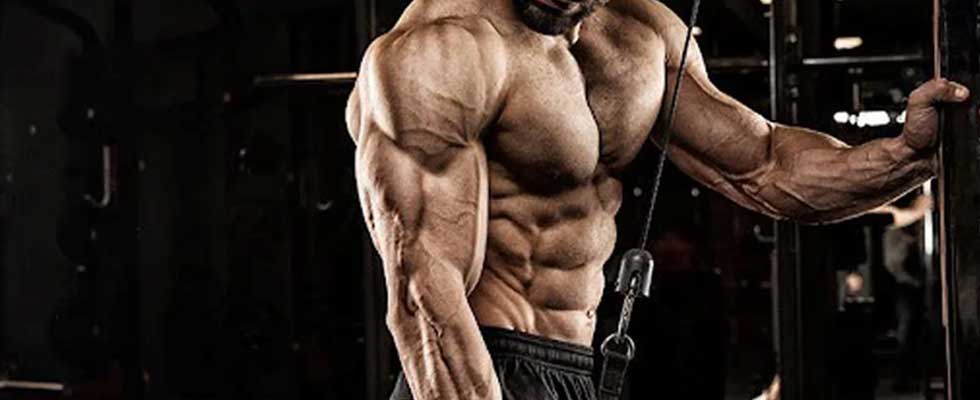 بدنسازی | پروتئین